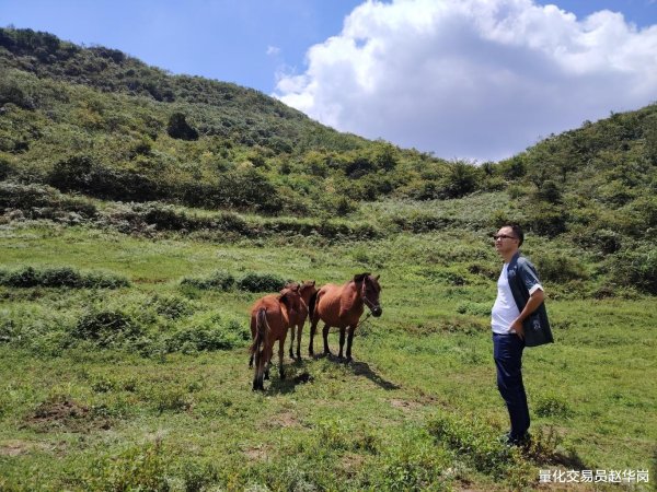 嘉汇优配 手头不宽裕的人做交易, 十有八九会输, 这是大实话
